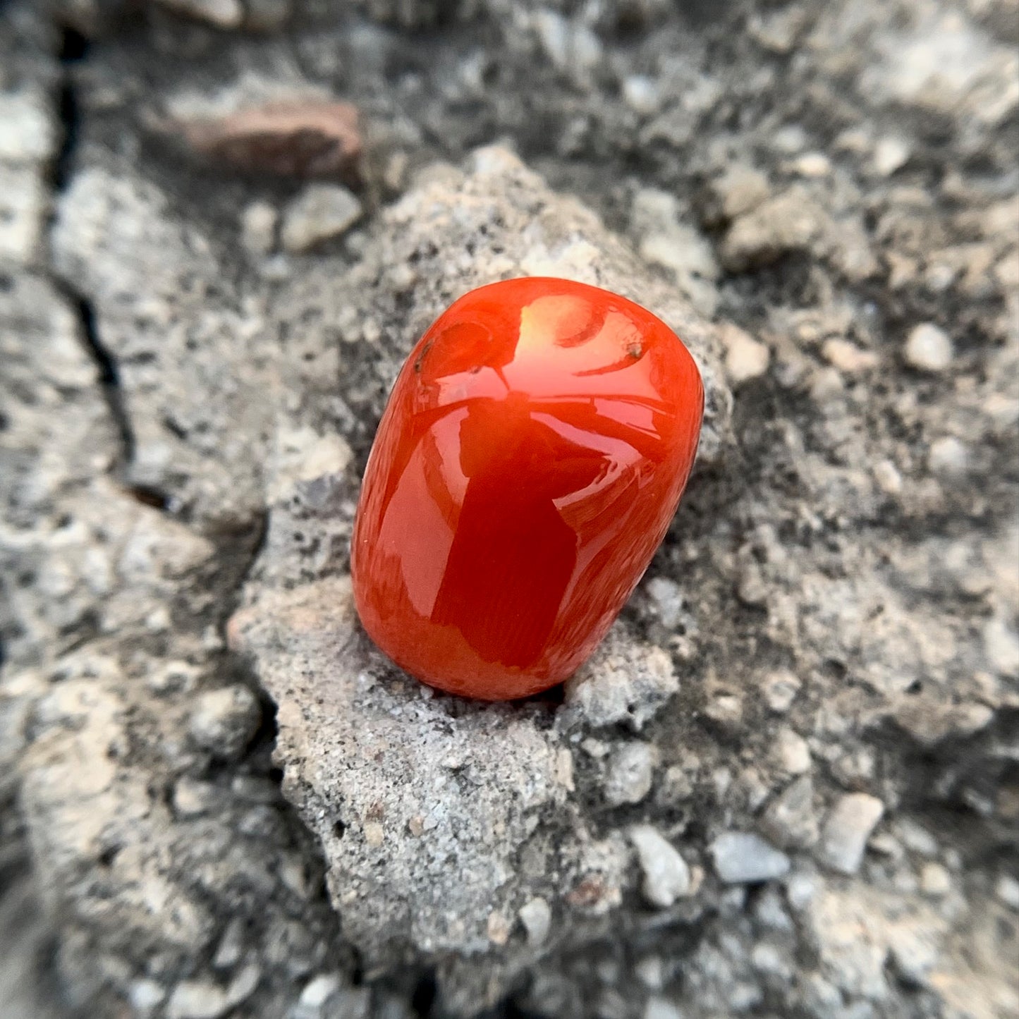 Natural Red Coral - 21.10 Carat/23.42 Ratti