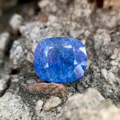 Natürlicher blauer Saphir – 6,78 Karat/7,53 Ratti