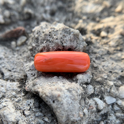 Natural Red Coral - 4.65 Carat/5.16 Ratti