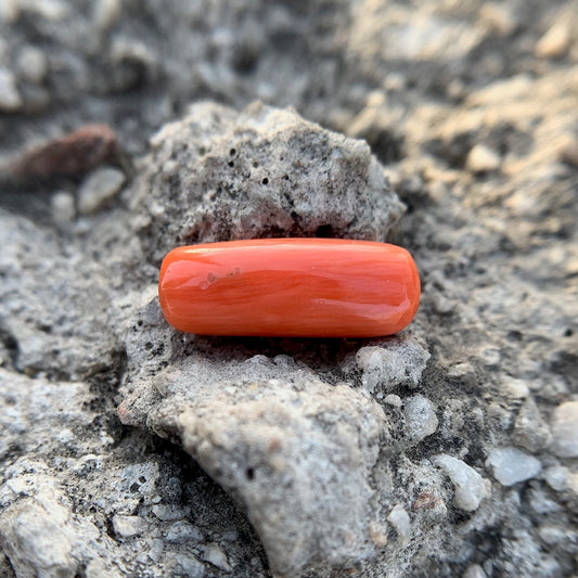 Natural Red Coral - 4.65 Carat/5.16 Ratti