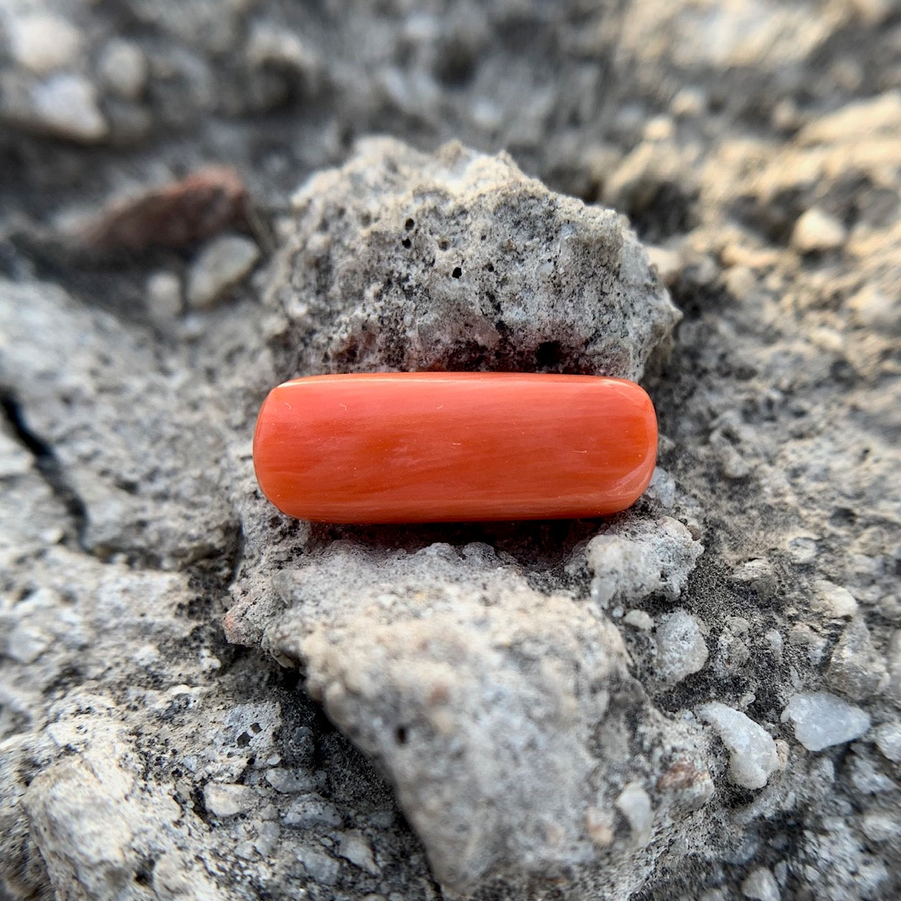 Natural Red Coral - 4.65 Carat/5.16 Ratti