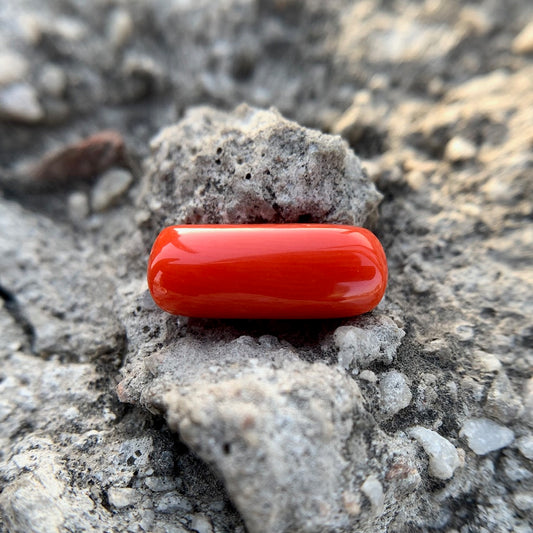 Natural Red Coral - 6.00 Carat/6.66 Ratti