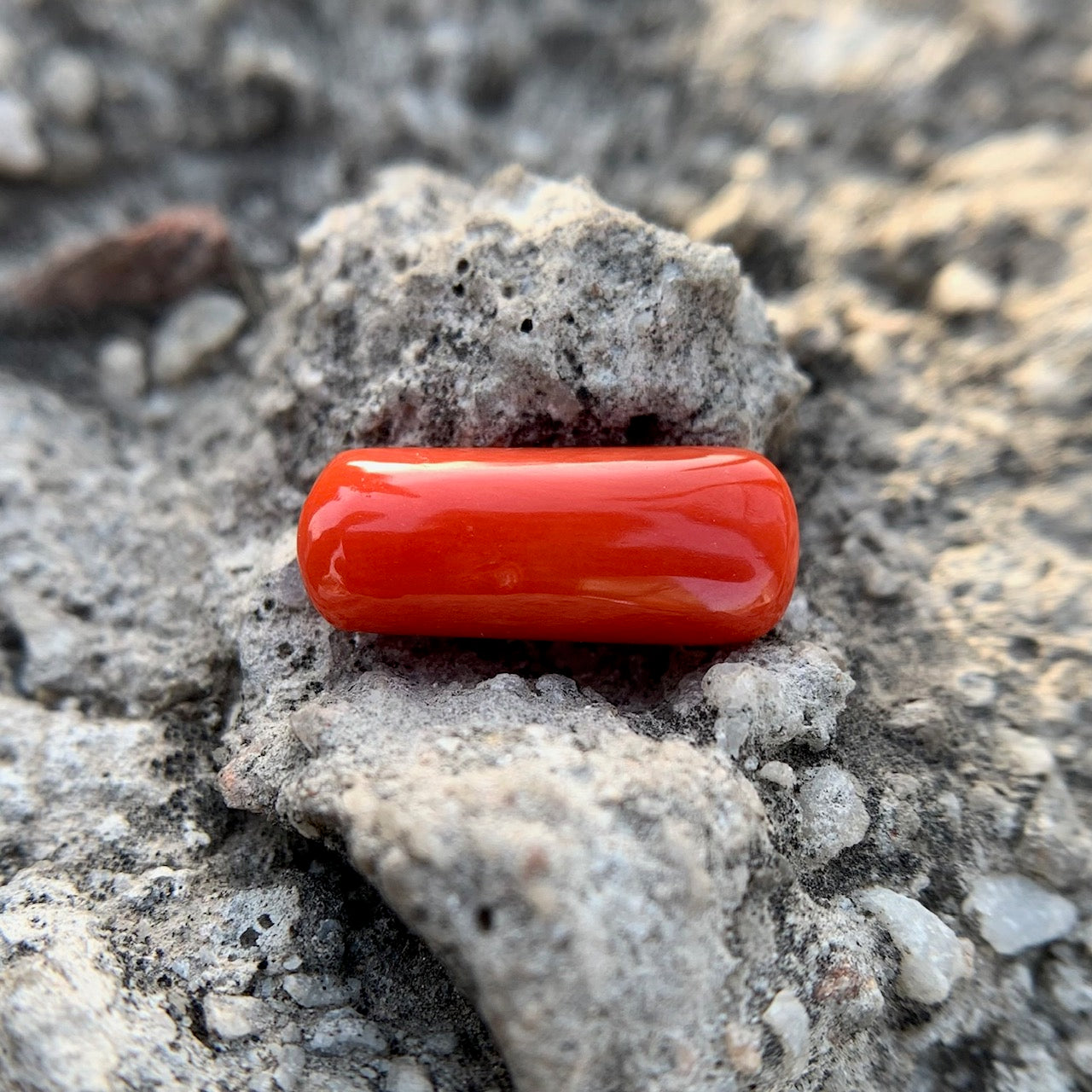 Natural Red Coral - 4.55 Carat/5.05 Ratti