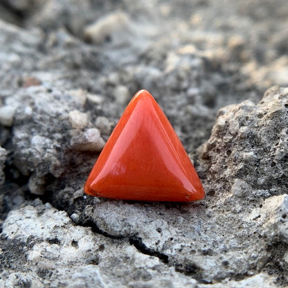 Natural Red Coral - 5.55 Carat/6.16 Ratti
