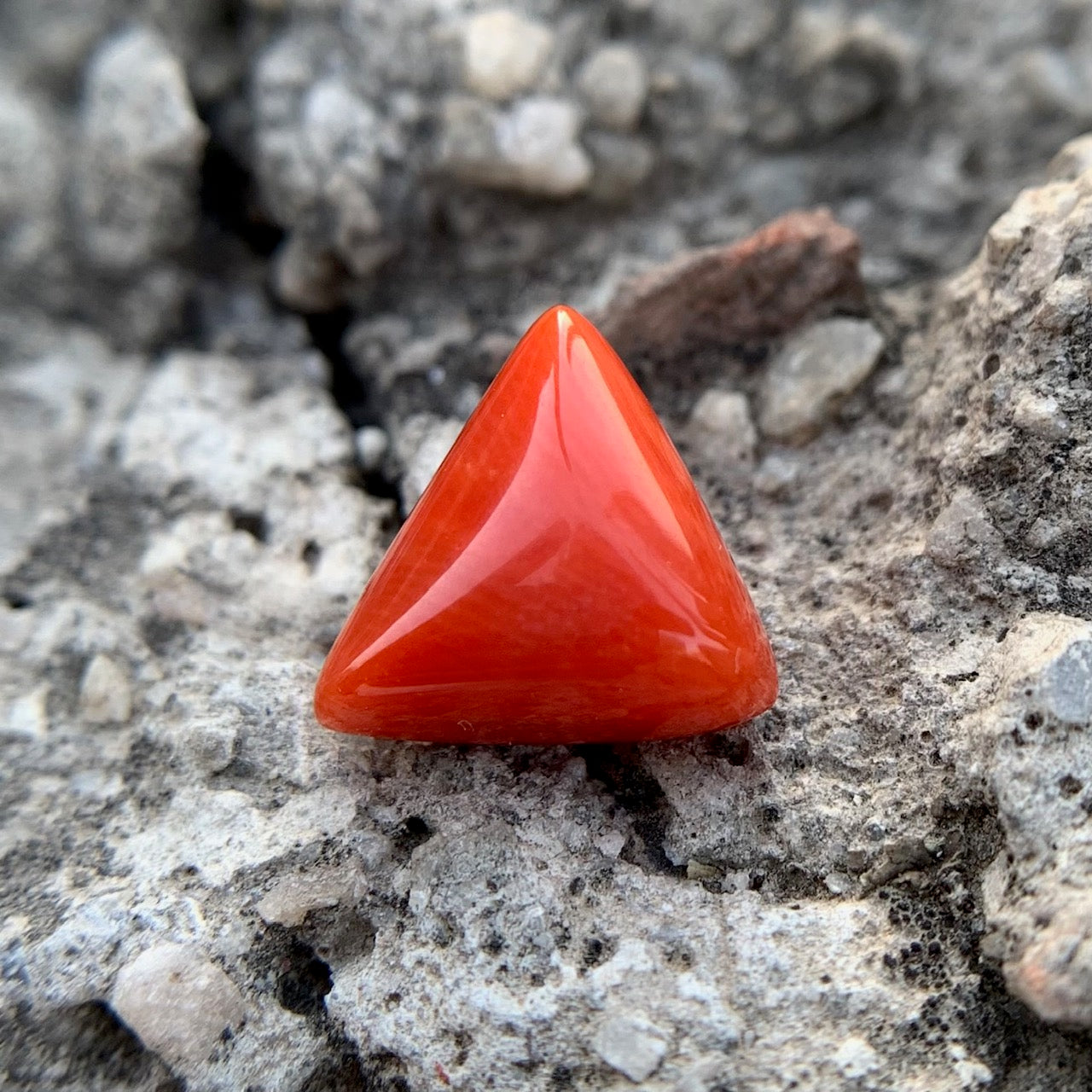 Natural Red Coral - 4.90 Carat/5.44 Ratti