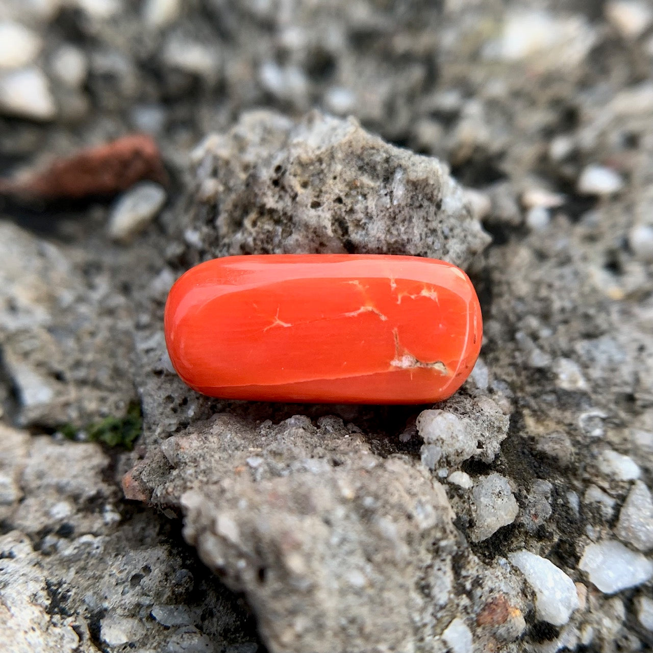 Natural Red Coral - 6.70 Carat/7.44 Ratti