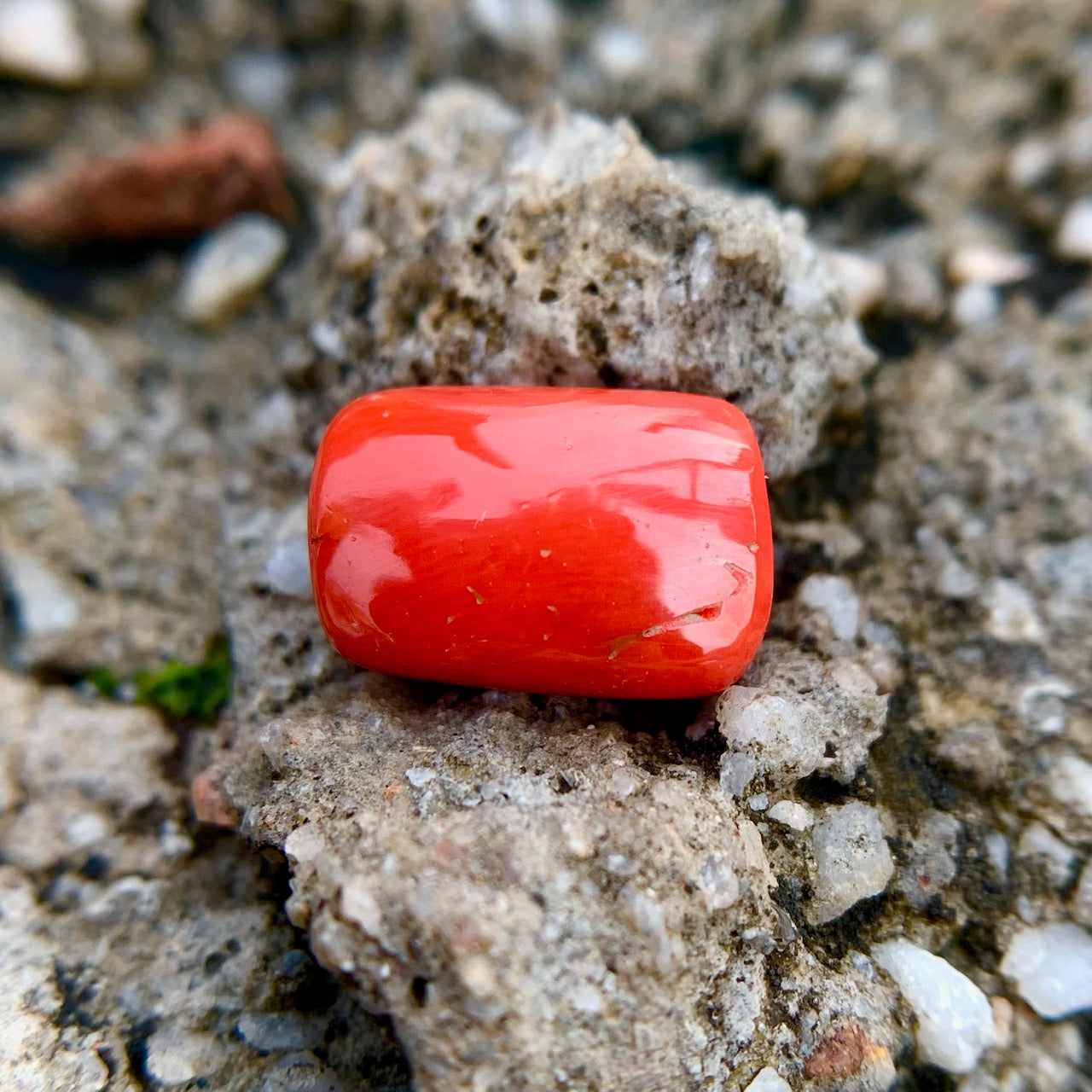 Natural Red Coral - 7.10 Carat/7.90 Ratti