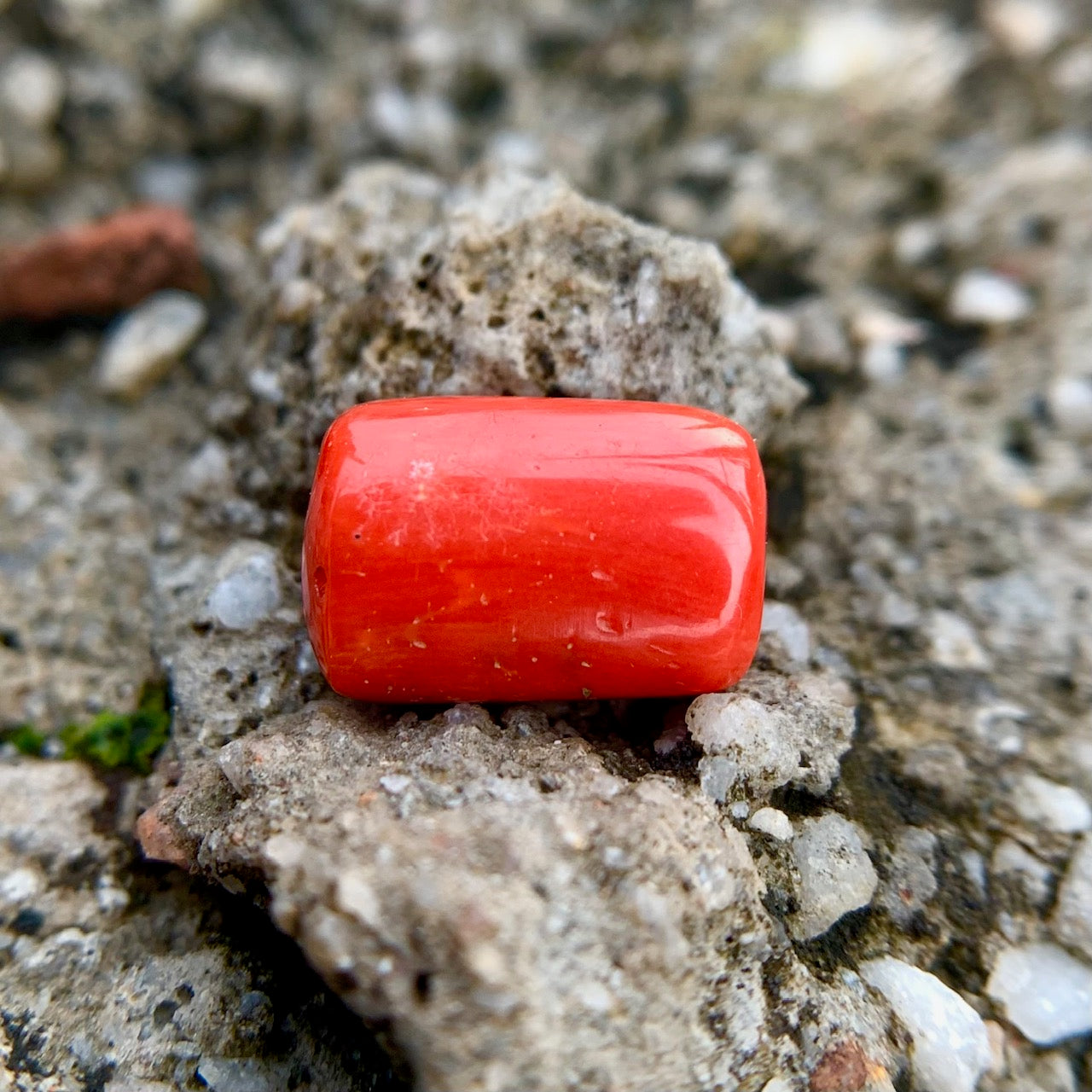 Natural Red Coral - 7.10 Carat/7.90 Ratti