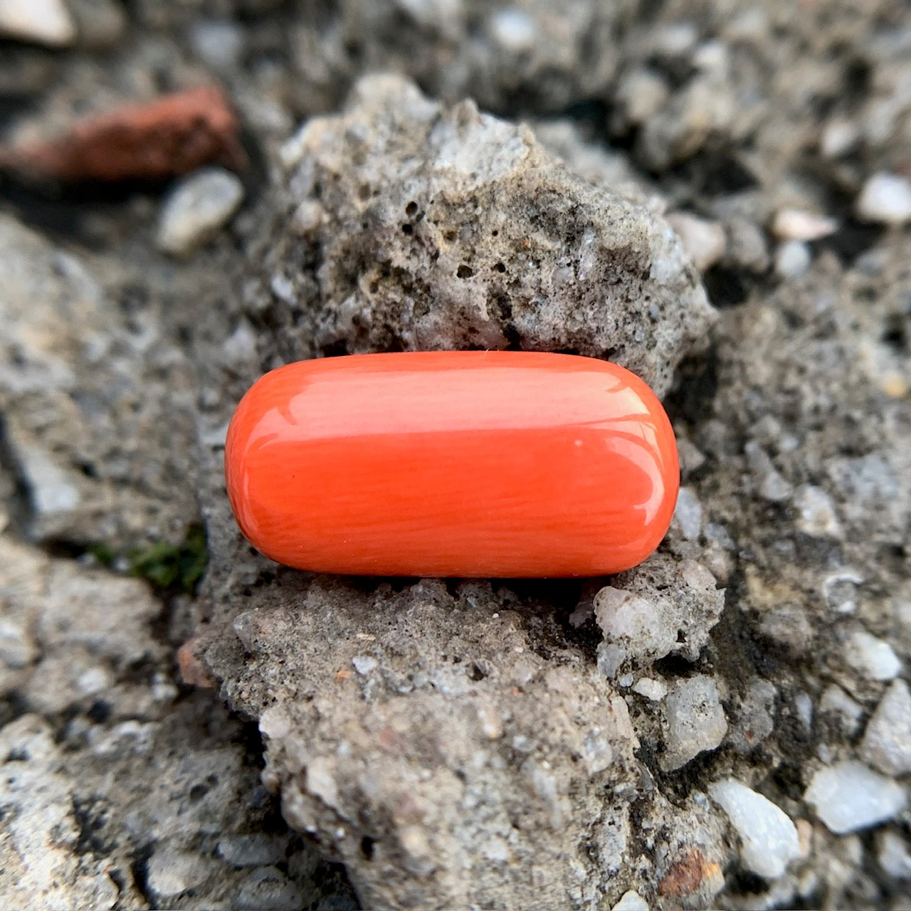 Natural Red Coral - 7.80 Carat/8.66 Ratti