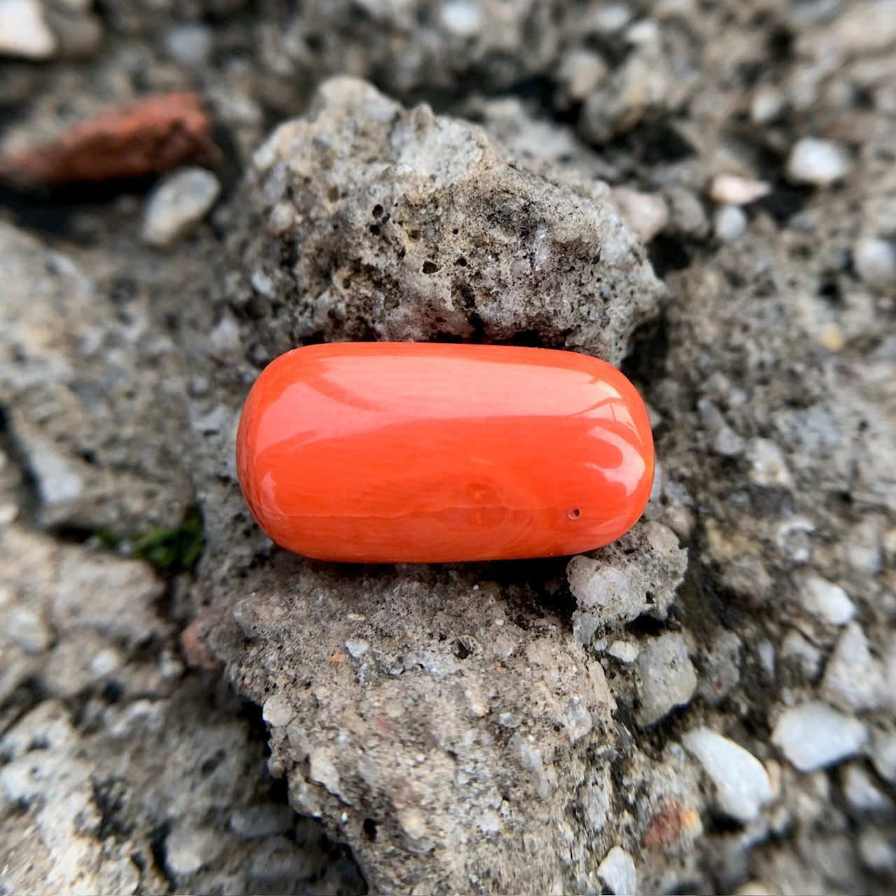 Natural Red Coral - 7.80 Carat/8.66 Ratti