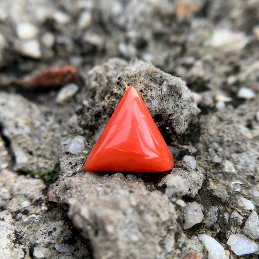 Natural Red Coral - 4.15 Carat/4.61 Ratti