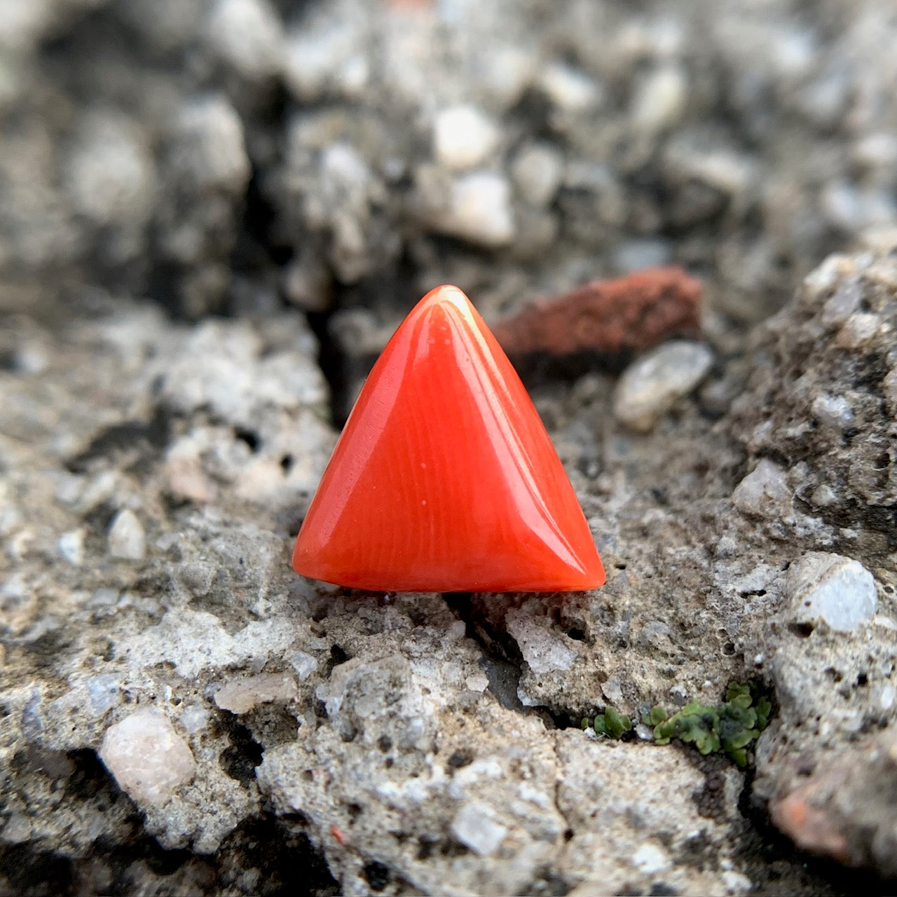 Natural Red Coral - 4.05 Carat/4.50 Ratti