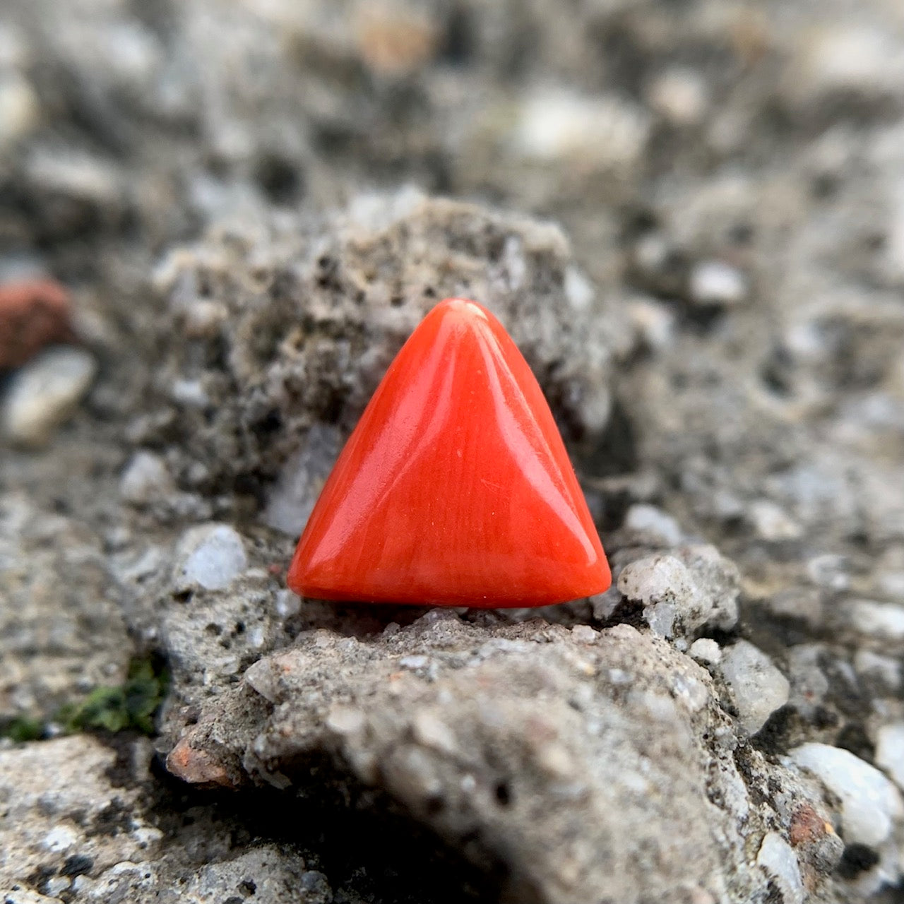 Natural Red Coral - 4.05 Carat/4.50 Ratti