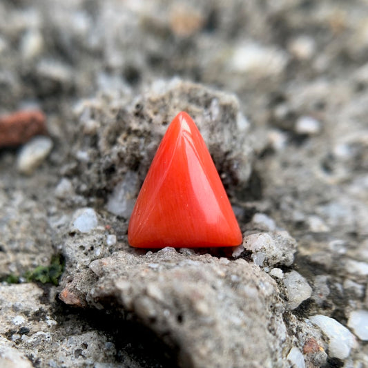 Natural Red Coral - 4.05 Carat/4.50 Ratti