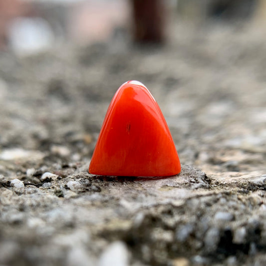 Natural Red Coral - 4.45 Carat/5.00 Ratti