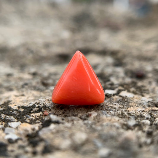 Natural Red Coral - 4.05 Carat/4.50 Ratti