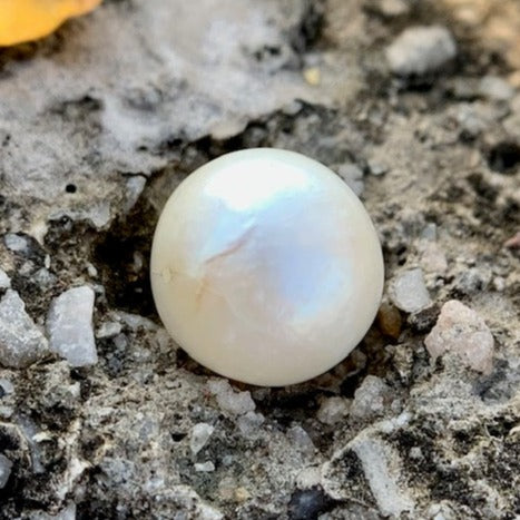 South Sea Pearl - 7.50 Carats/8.33 Ratti