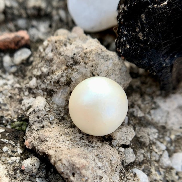 South Sea Pearl - 7.90 Carats/8.80 Ratti