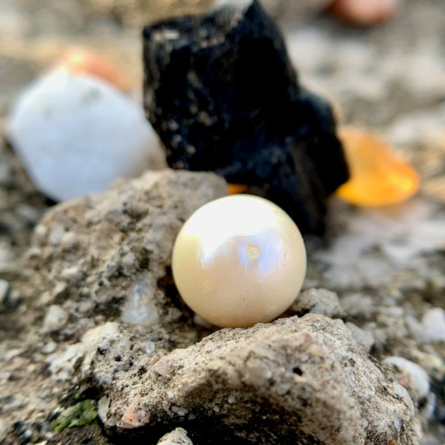 South Sea Pearl - 6.90 Carats/7.66 Ratti