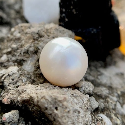 South Sea Pearl - 8.35 Carats/9.26 Ratti