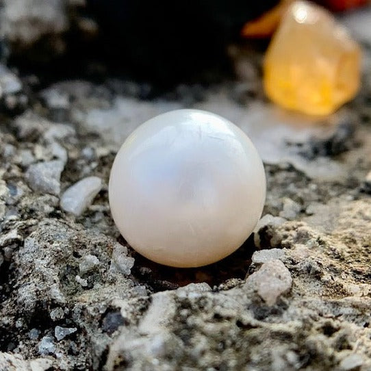 South Sea Pearl - 8.35 Carats/9.26 Ratti