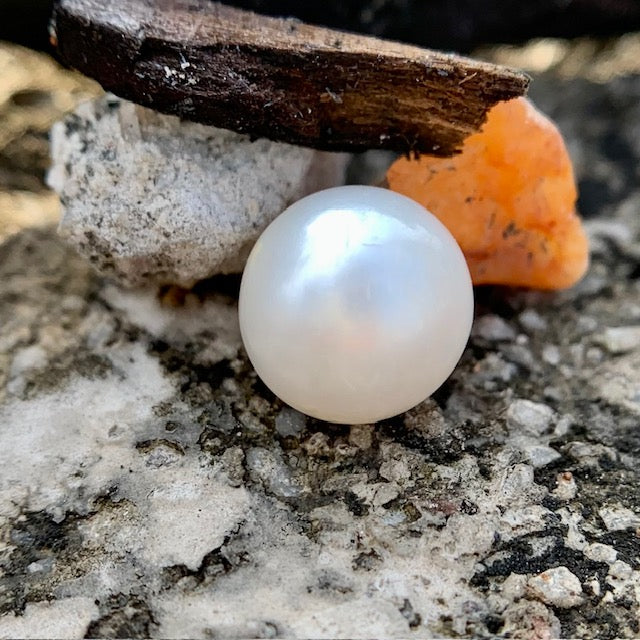 South Sea Pearl - 8.35 Carats/9.26 Ratti