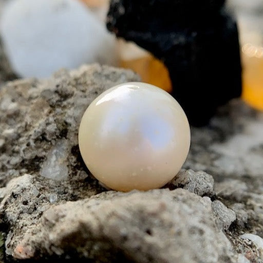 South Sea Pearl - 7.75 Carats/8.60 Ratti