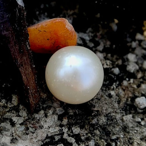 South Sea Pearl - 7.75 Carats/8.60 Ratti