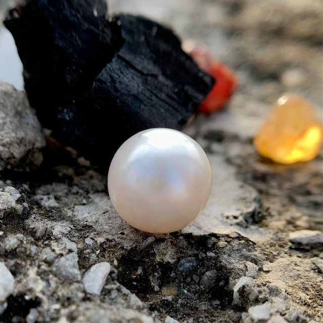 South Sea Pearl - 7.70 Carats/8.55 Ratti