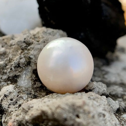 South Sea Pearl - 7.70 Carats/8.55 Ratti