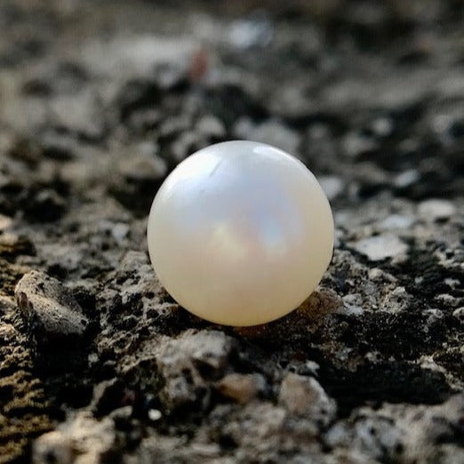 South Sea Pearl - 7.40 Carats/8.21 Ratti