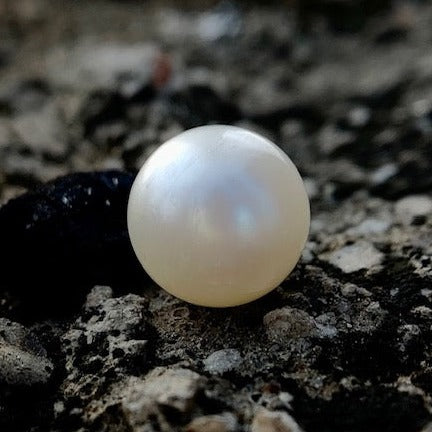 South Sea Pearl - 7.40 Carats/8.21 Ratti