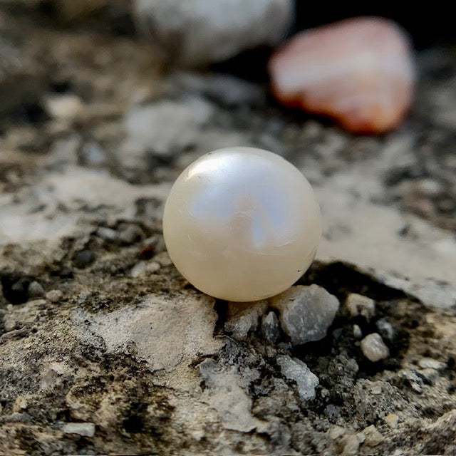 South Sea Pearl - 7.40 Carats/8.21 Ratti