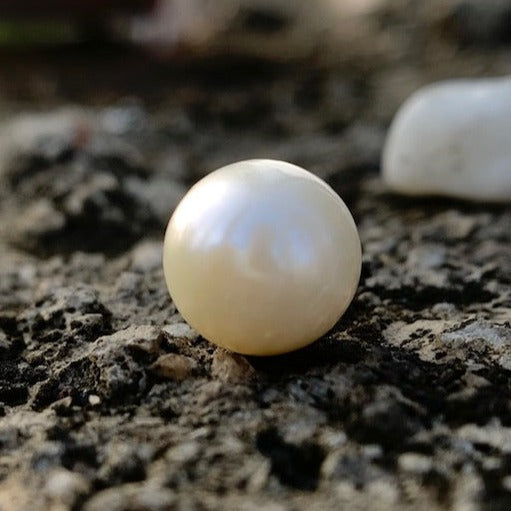 South Sea Pearl - 7.65 Carats/8.50 Ratti