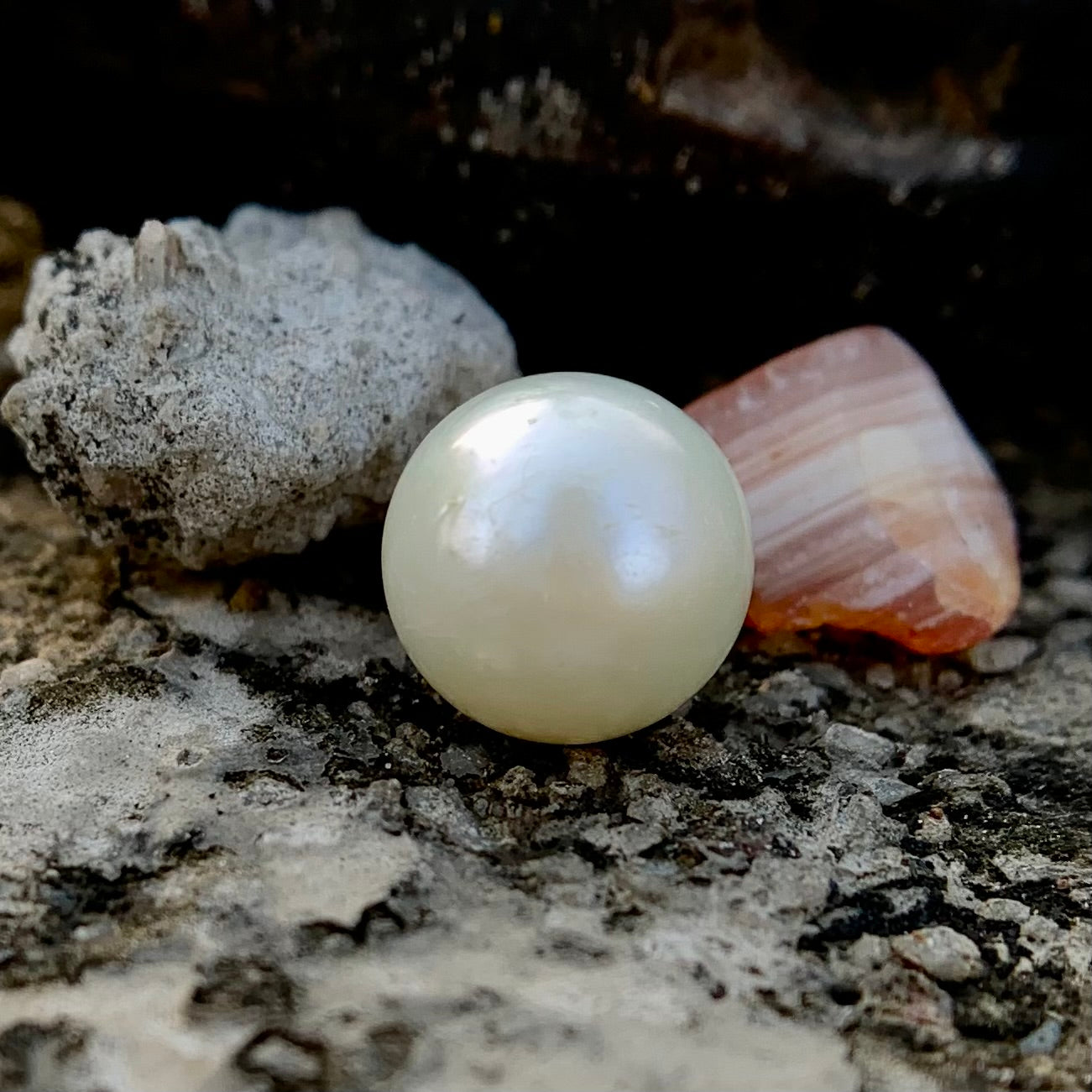 South Sea Pearl - 7.65 Carats/8.50 Ratti