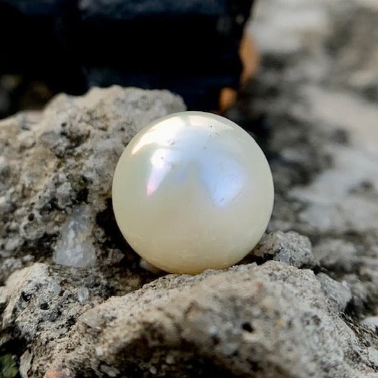 South Sea Pearl - 7.65 Carats/8.50 Ratti