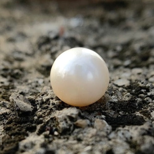 South Sea Pearl - 7.90 Carats/8.80 Ratti