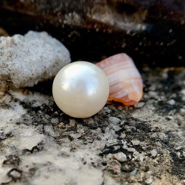 South Sea Pearl - 7.90 Carats/8.80 Ratti