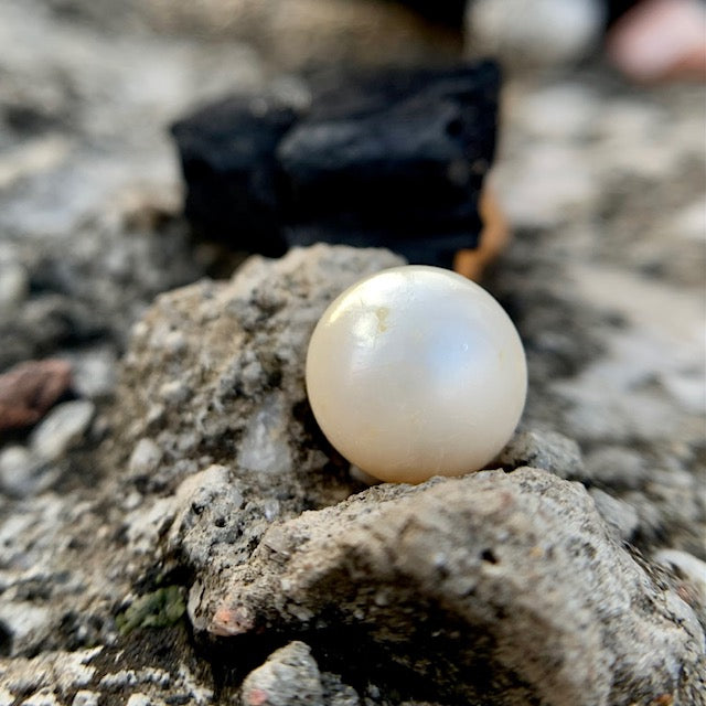 South Sea Pearl - 7.90 Carats/8.80 Ratti