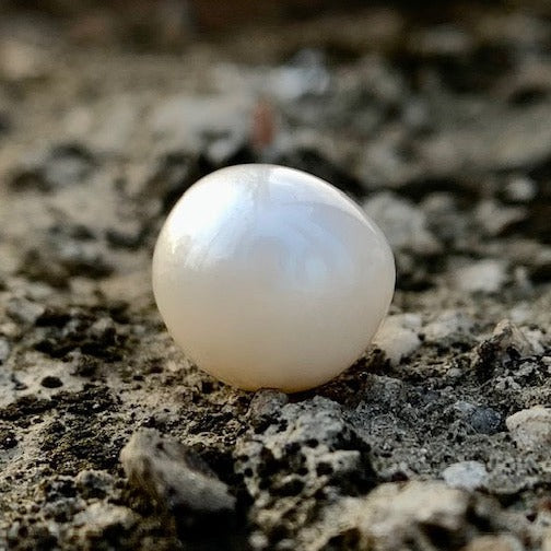 South Sea Pearl - 8.05 Carats/8.94 Ratti