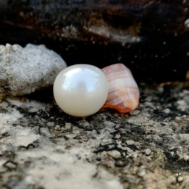 South Sea Pearl - 8.05 Carats/8.94 Ratti