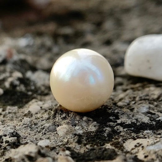 South Sea Pearl - 7.95 Carats/8.82 Ratti