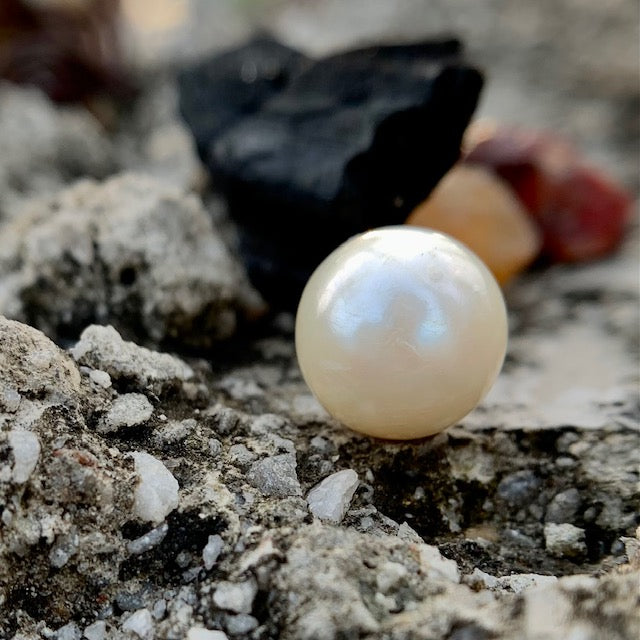 South Sea Pearl - 7.95 Carats/8.82 Ratti