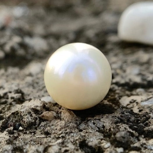 South Sea Pearl - 7.20 Carats/8.00 Ratti