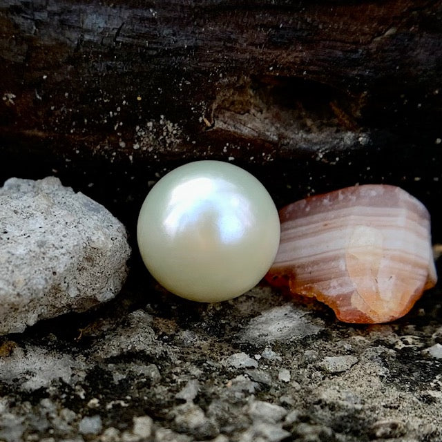 South Sea Pearl - 7.20 Carats/8.00 Ratti