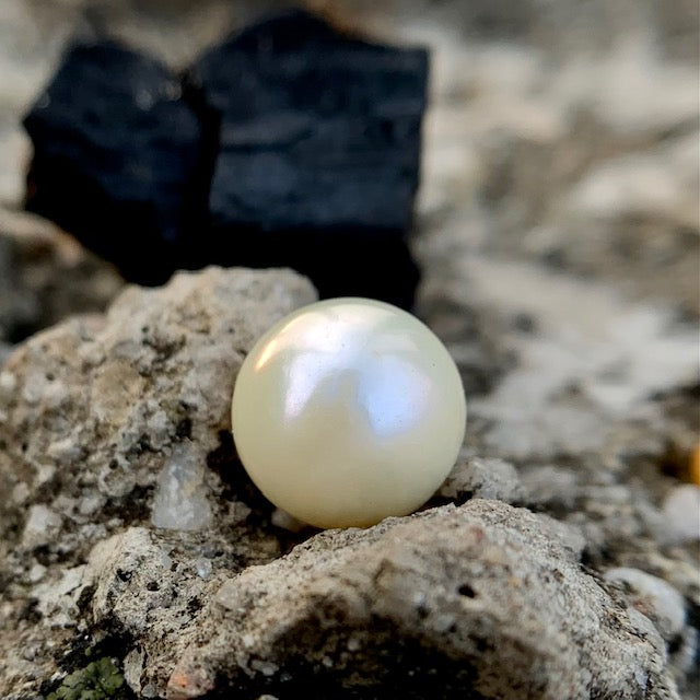 South Sea Pearl - 7.20 Carats/8.00 Ratti