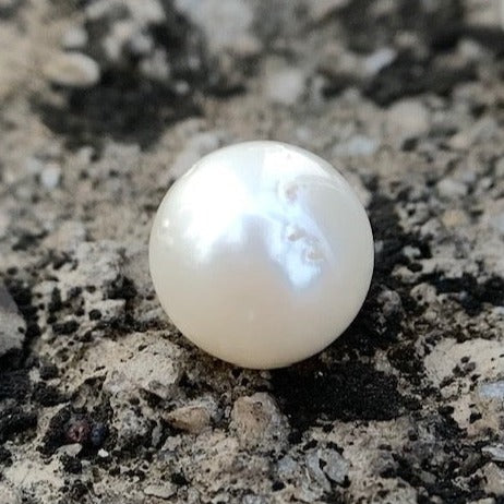 South Sea Pearl - 9.85 Carats/10.94 Ratti