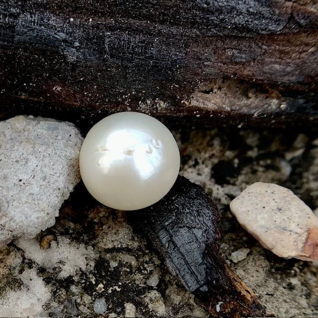 South Sea Pearl - 9.85 Carats/10.94 Ratti