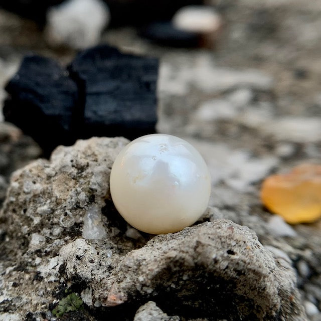 South Sea Pearl - 9.85 Carats/10.94 Ratti