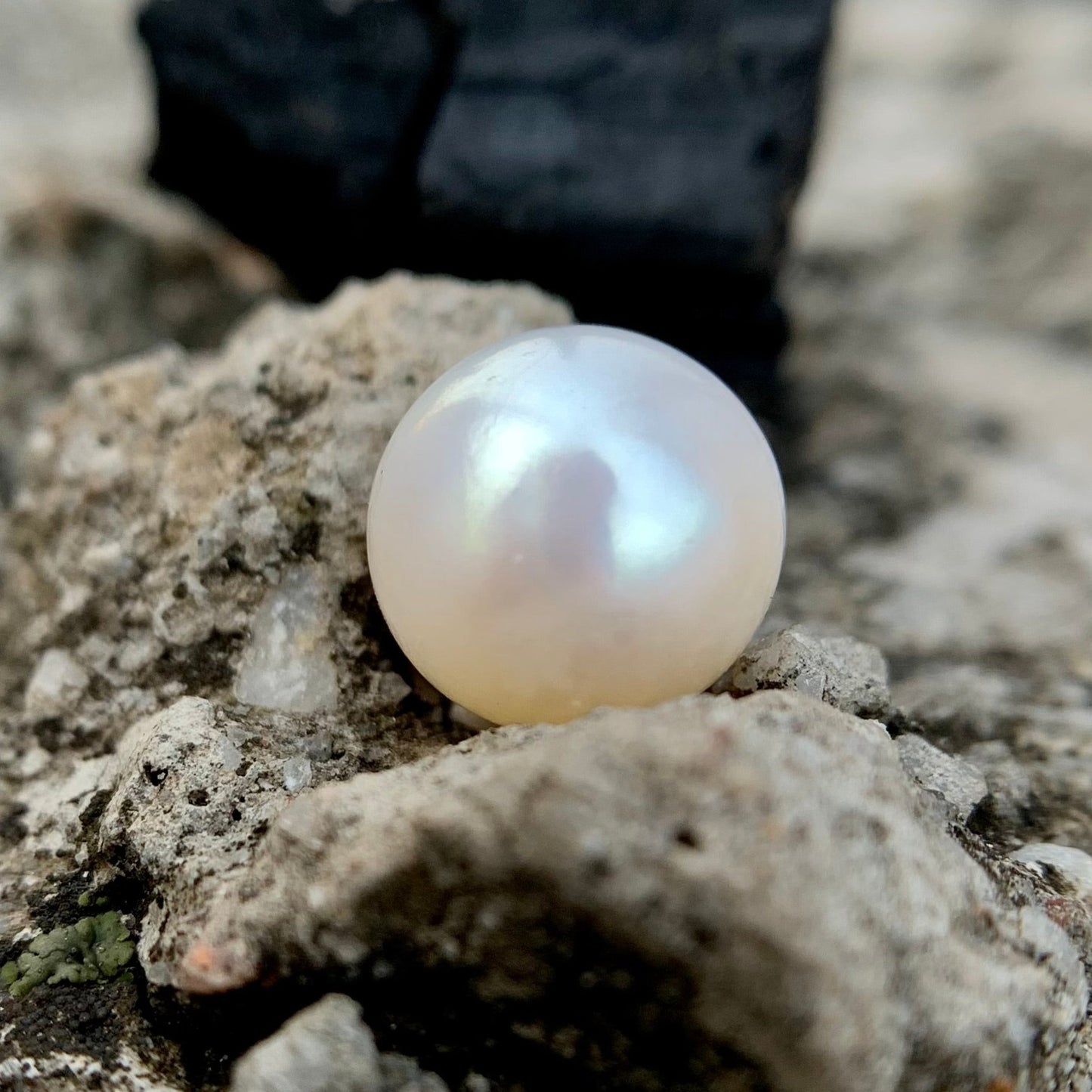 South Sea Pearl - 7.50 Carats/8.32 Ratti